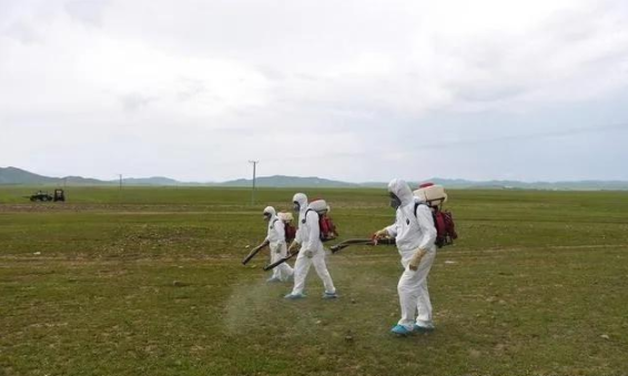 蝗災(zāi)來襲，農(nóng)藥獸藥防偽溯源面臨機(jī)遇和挑戰(zhàn)