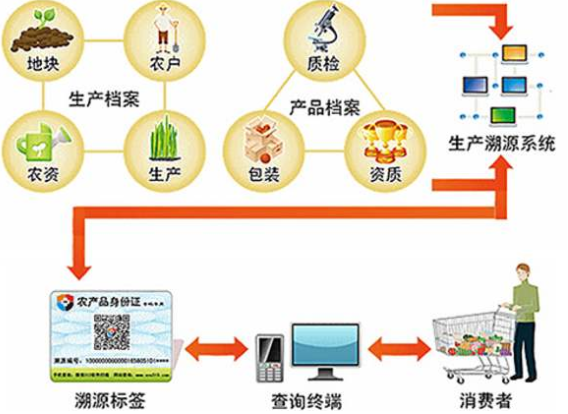 水稻種植可追溯系統(tǒng) 水稻種植可追溯系統(tǒng)有哪些環(huán)節(jié)及優(yōu)勢。