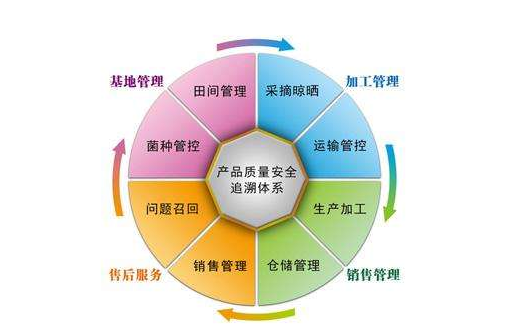產(chǎn)品追溯系統(tǒng)有哪些公司，是怎樣開發(fā)系統(tǒng)的？