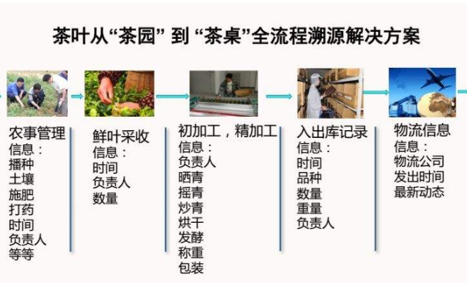 茶葉加工流程溯源系統(tǒng) 茶葉加工流程溯源系統(tǒng)解決方案
